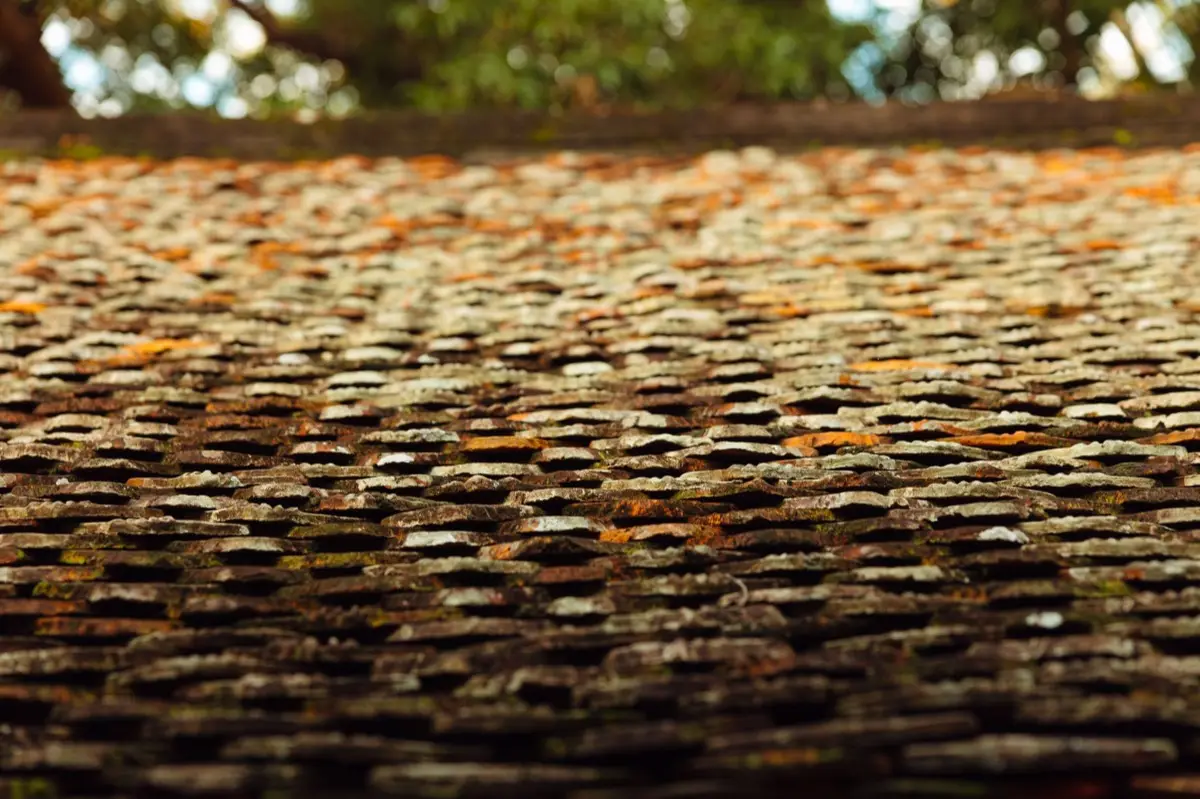 Aging shingle roof with moss growth and granule loss in Laredo, TX